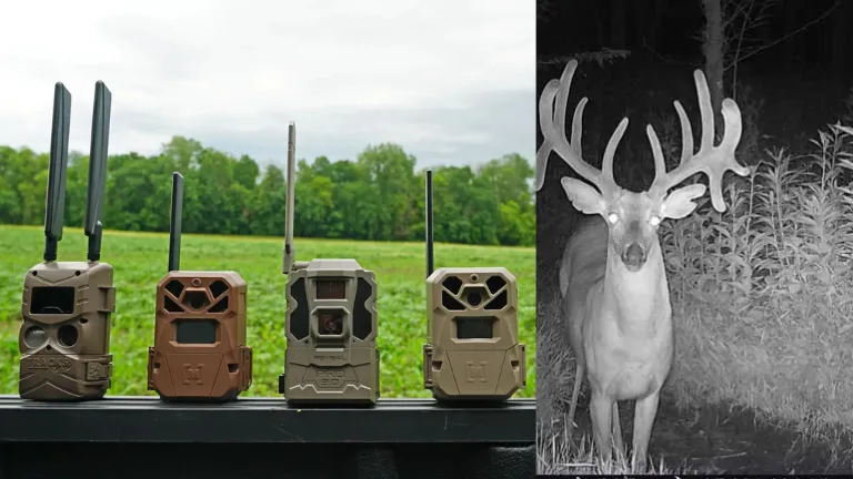Best 5 Trail Cameras in 2026 New – Artikel Vergleichen